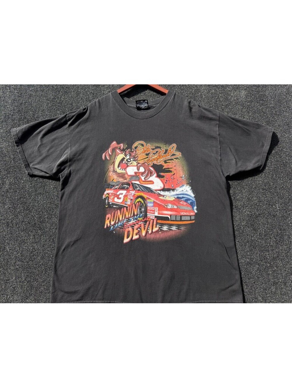 2000 EUC Dale Earnhardt/TAZ Tasmanian Devil looney toons
